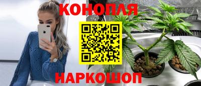 гашик Абакан