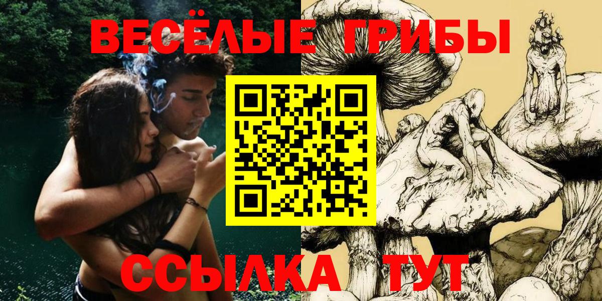 Галлюциногенные грибы GOLDEN TEACHER Карабулак