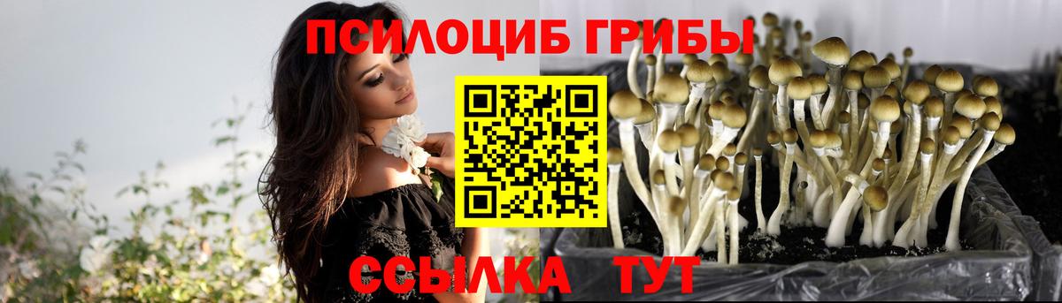 продажа наркотиков  Вход с VPN  Карабулак  Псилоцибиновые грибы ЛСД 